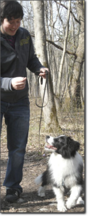 Training mit Hund
